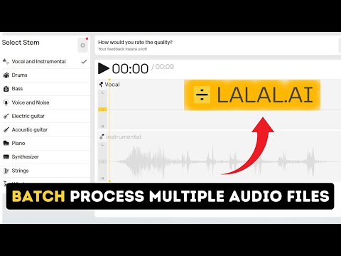 How to Batch Process Multiple Audio Files on Lalal.ai 2025?