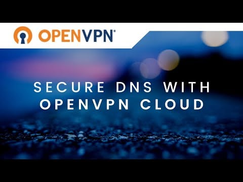 DNS Security and Protection with CloudConnexa (formerly OpenVPN Cloud)