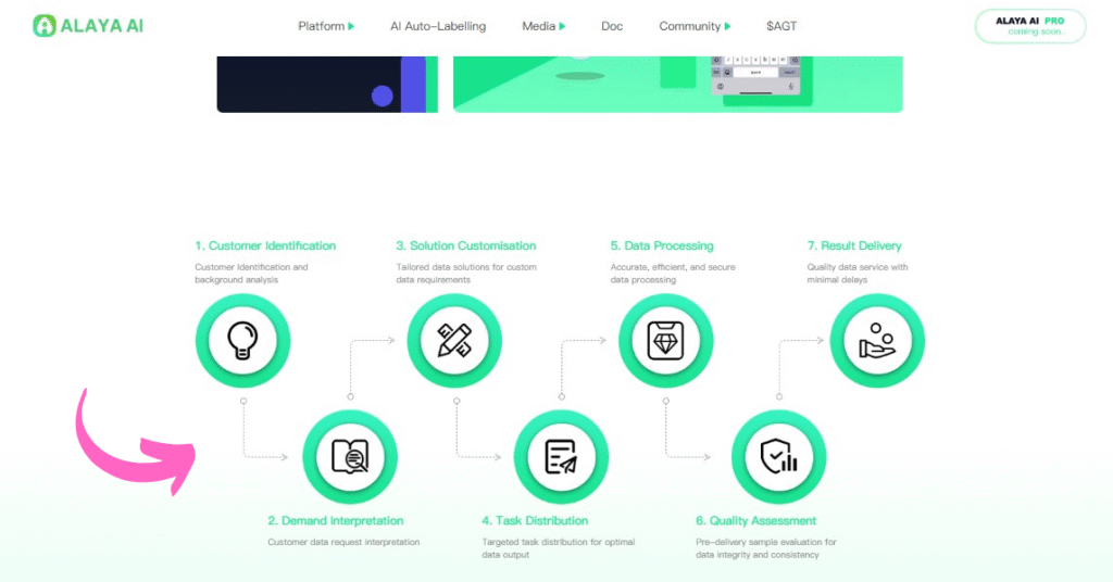 Alaya AI Data Annotation