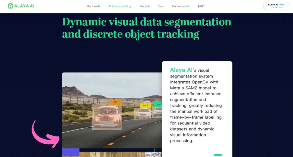 Alaya AI Visual Data Segmentation