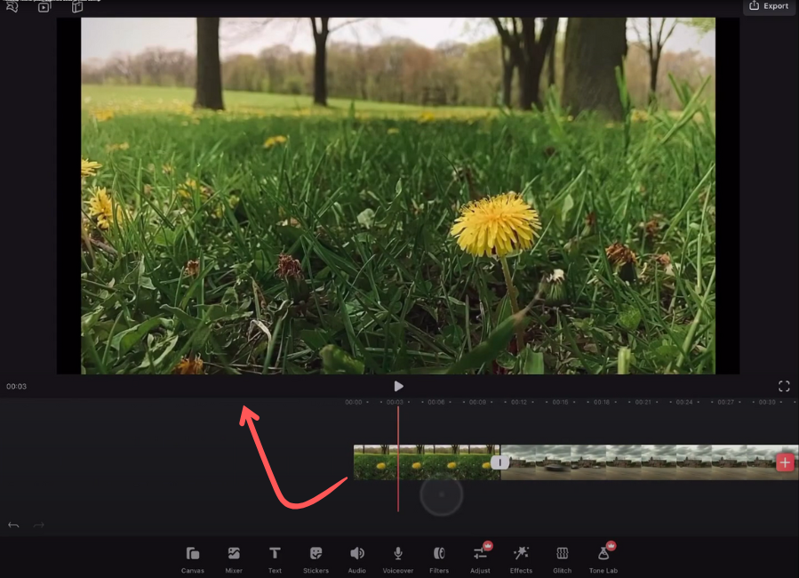 Videoleap video editing 1