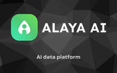 Alaya AI Review 2024