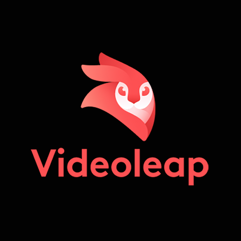 VideoLeap