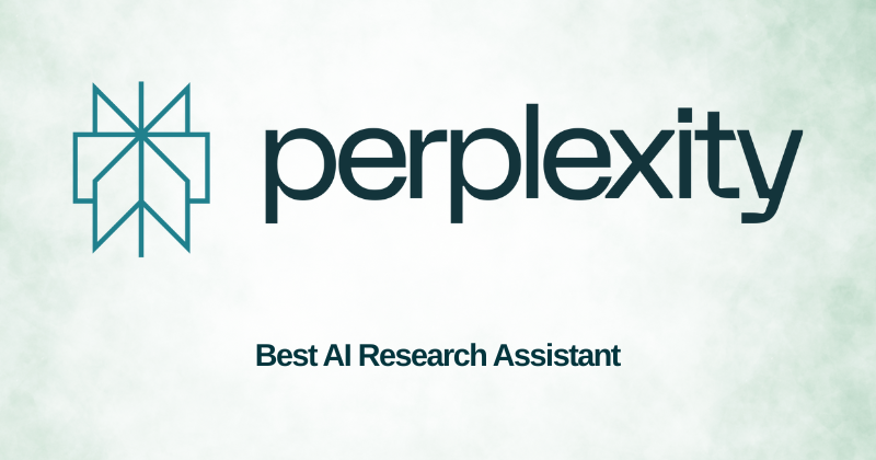 perplexity ai