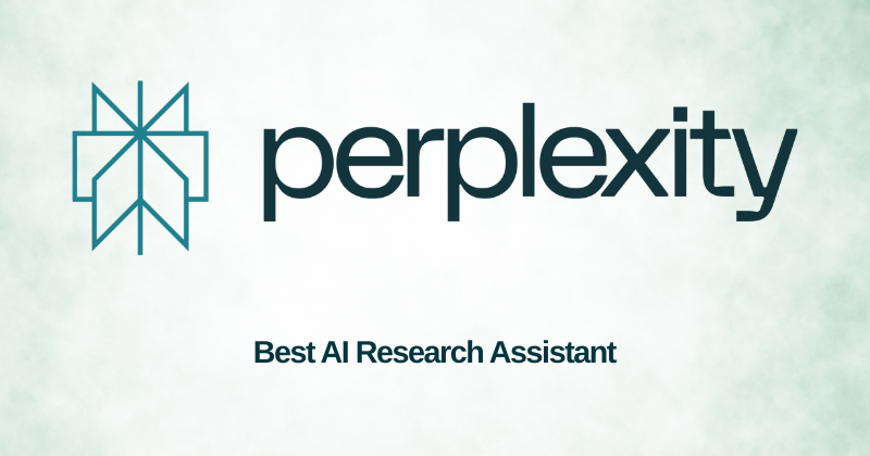 perplexity ai