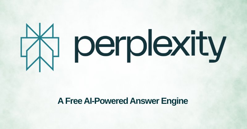 perplexity ai