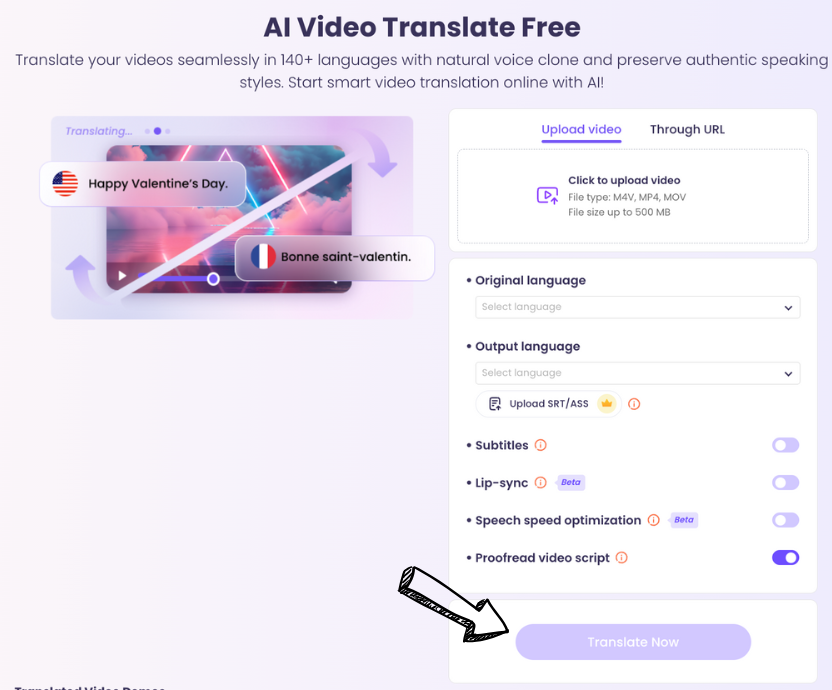 vidnoz video translator