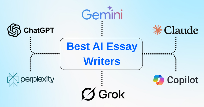Best AI Essay Writers