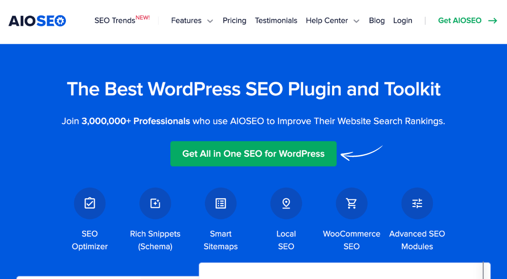 All in One SEO.