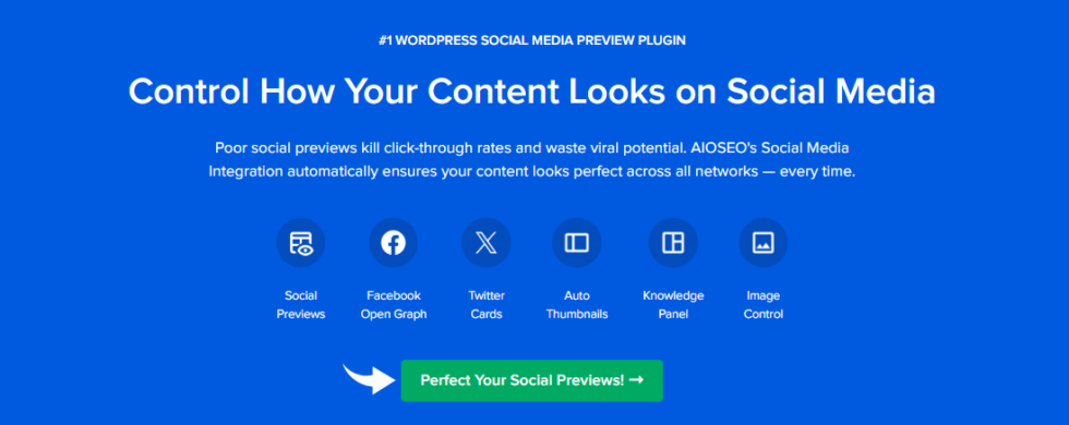 All in One SEO Social Media Preview Plugin Image