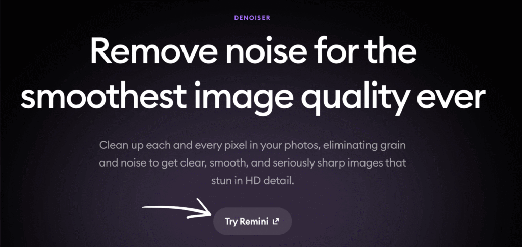 DENOISER