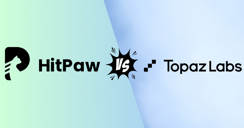 HitPaw contre Topaz
