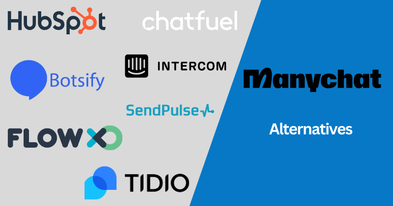 ManyChat Alternative