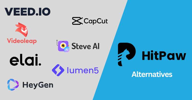 Hitpaw Alternatives