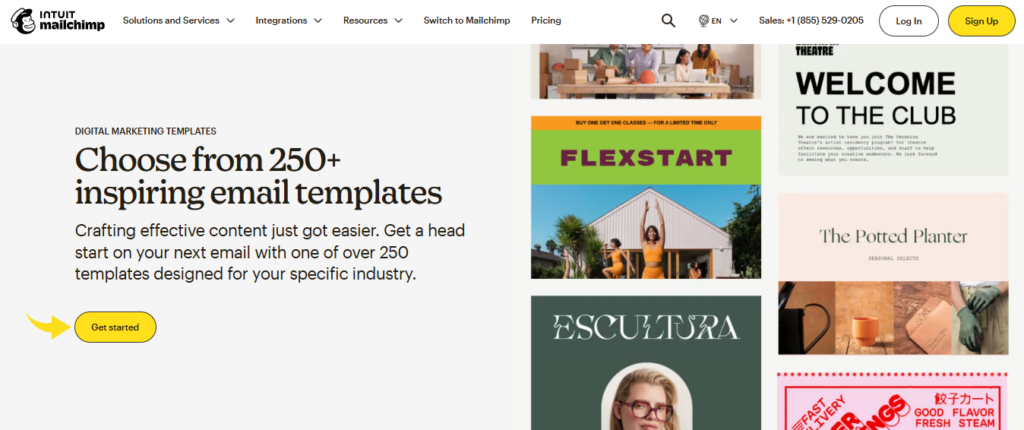Mailchimp Digital Marketing Templates