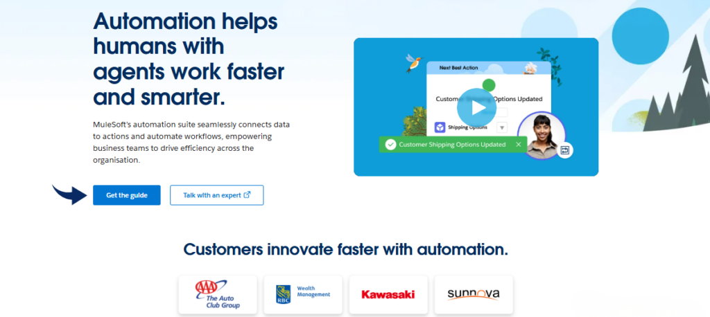 Salesforce AI Automation