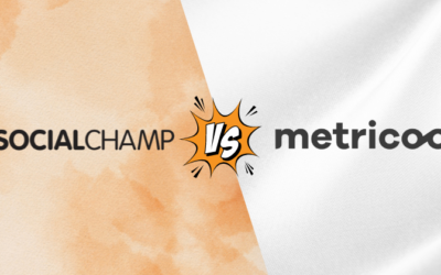 Social Champ vs Metricool: Which Is the Better tool in 2024?