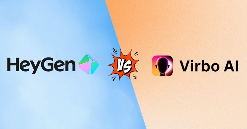 헤이겐 vs 비르보