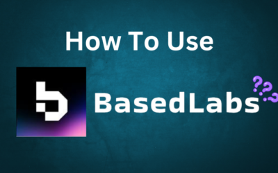 How to Use Basedlabs: A Step-by-Step Guideline in 2024