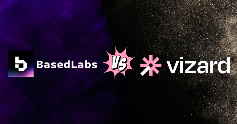 Basedlabs vs Vizard