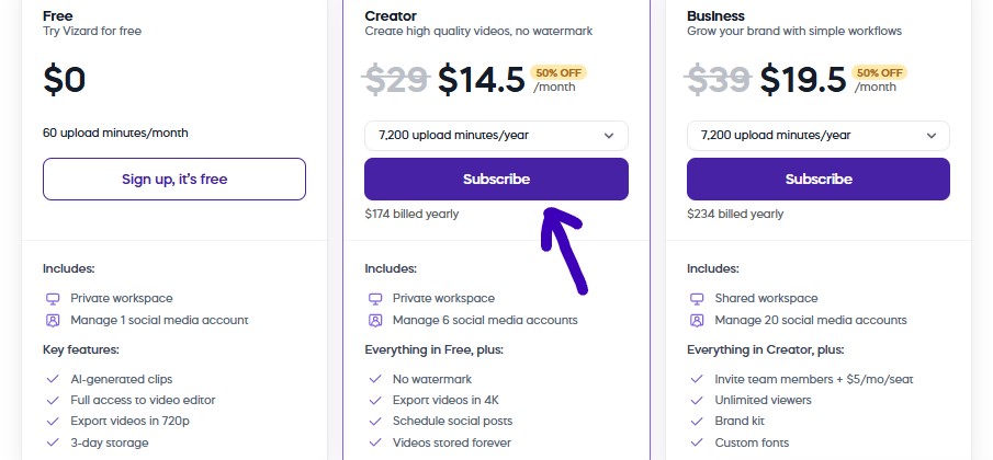 Vizard Pricing
