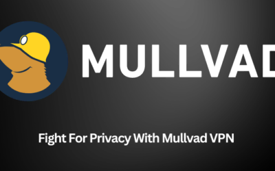 Mullvad VPN Review: Best VPN Service For You in 2025?