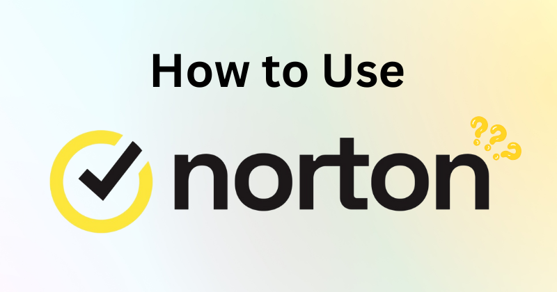 How to Use Norton VPN for Secure Browsing in 2025 1 how to use norton VPn