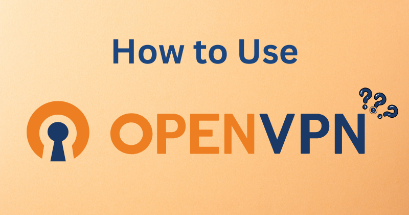 How to Use OpenVPN: A Step-by-Step Guideline in 2025 1 How to Use OpenVPN