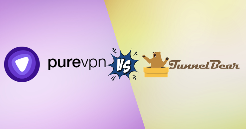 PureVPN vs TunnelBear: Fastest VPN in 2025? 3 purevpn vs tunnelbear