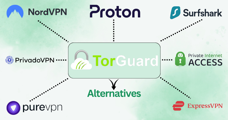 Torguard alternatives