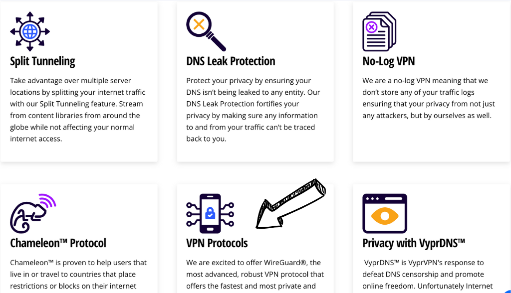 VyprVPN Features and Settings