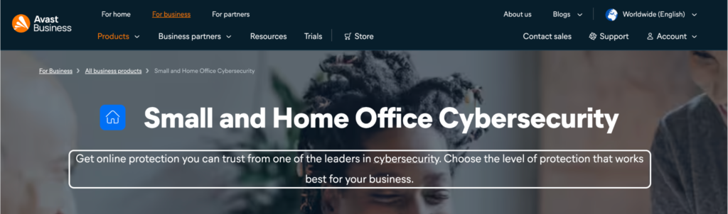Small and Home Office Cybersecurity
