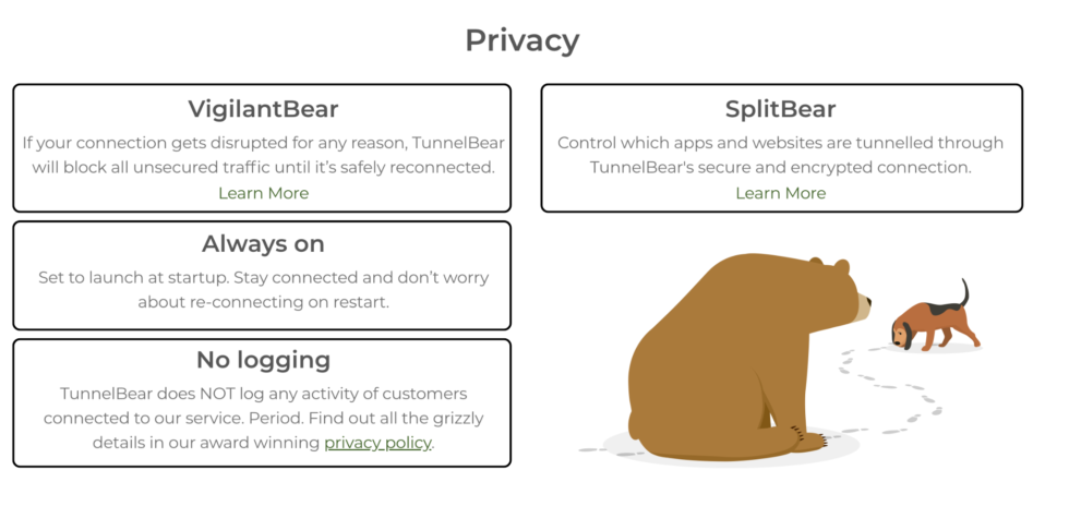 Image showcasing How to Use TunnelBear: A Simple Guide for Beginners in 2025