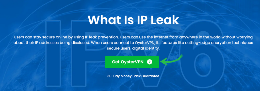 OysterVPN IP Leak Protection
