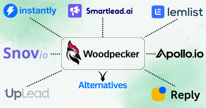 Top 11 Woodpecker Alternatives for Higher Deliverability in 2025 4 woodpecker alternatives