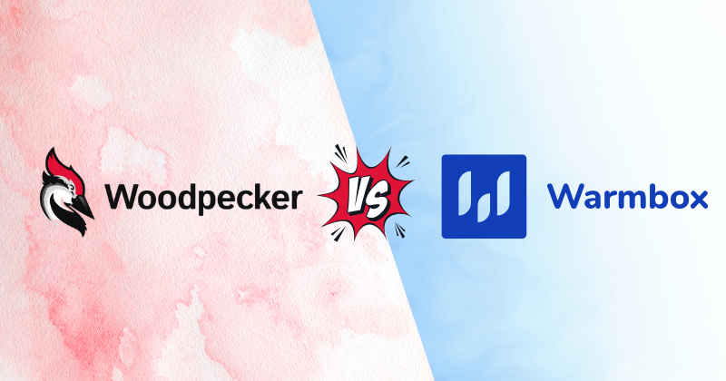 Woodpecker vs Warmbox: Top Email Warmup Tool in 2025 3 Woodpecker vs Warmbox