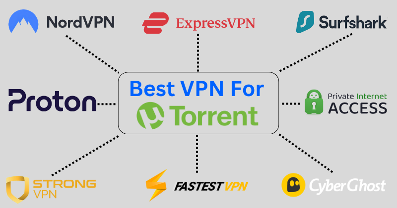 best vpn for torrent