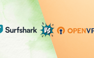 Surfshark VPN vs OpenVPN: Best for Privacy in 2025?
