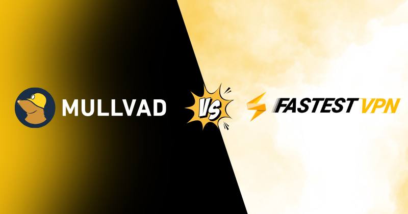 Mullvad vs FastestVPN: Which Is Best for Speed in 2025? 3 Mullvad vs FastestVPN