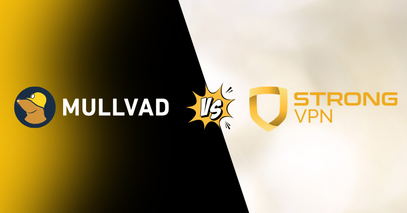 Mullvad vs StrongVPN: Which Gives The Best Performance in 2025? 3 Mullvad vs StrongVPN