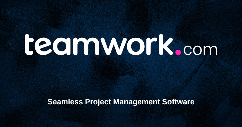 Teamwork Review 2025: Best Project Management Tool? 1 nbnb
