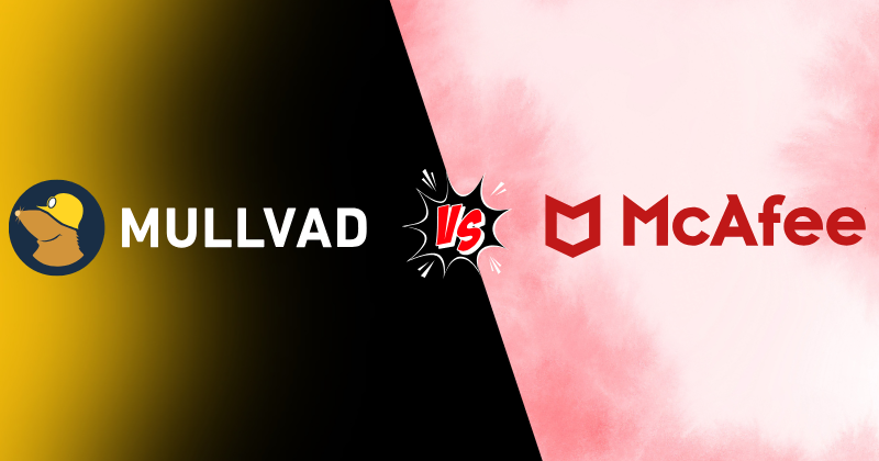 Mullvad vs mcafee VPN