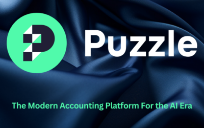 Puzzle io Review: Streamline Your Finances in 2025?
