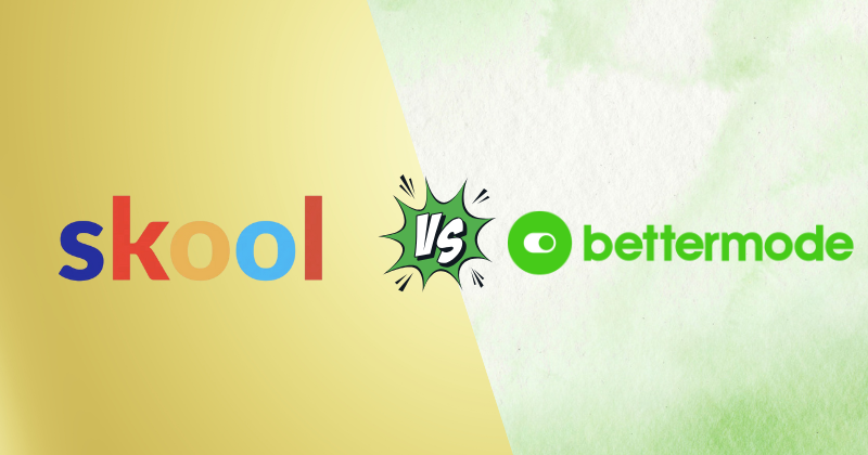 Skool vs Bettermode: Best Community Platform in 2025 3 skool vs bettermode