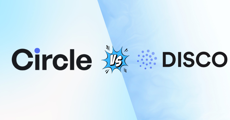 Circle vs Disco: A Head-to-Head Comparison in 2025 3 Circle vs Disco