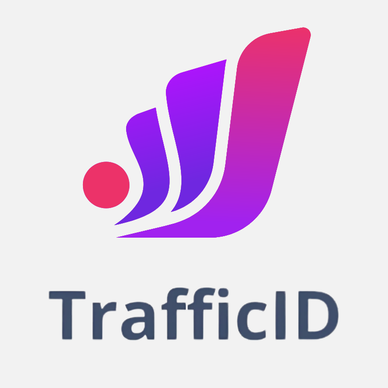 TrafficID Review: Track Your Website Visitors in 2025? 2 TrafficID CTA