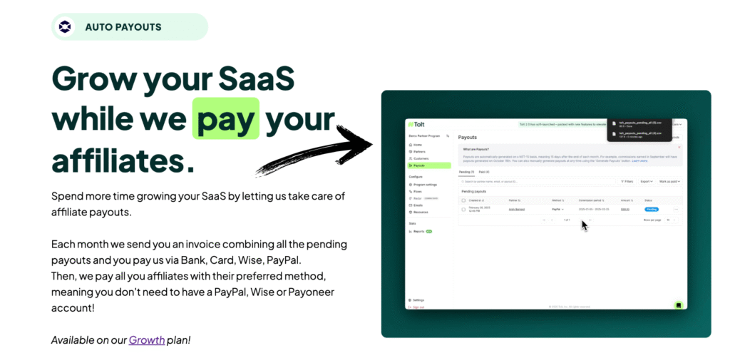 Tolt IO Review: Best Affiliate Marketing Software in 2025? 12 tolt auto payouts