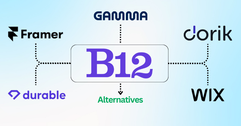 B12 Alternatives