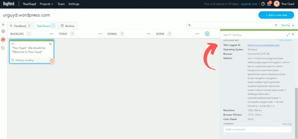 Bugherd Detailed Bug Reporting