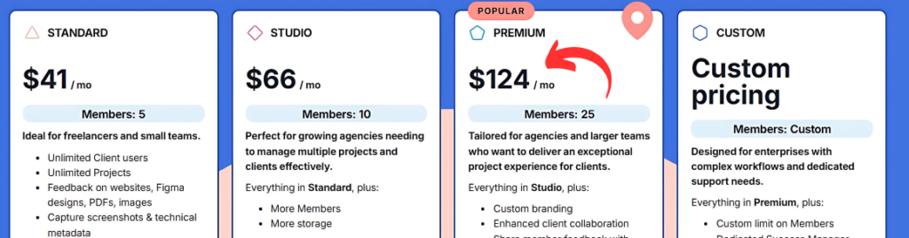 Bugherd Pricing
